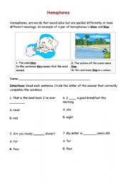 English worksheet: Homophones, excercise 2