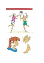 English Worksheet: THE BODY