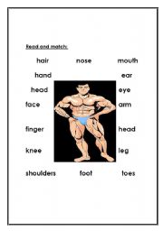 English worksheet: body