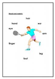 English worksheet: body