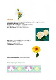 English worksheet: Plant Idioms