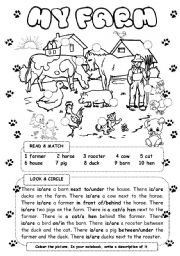 English Worksheet: My farm