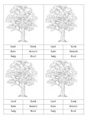 English Worksheet: Parts of tree