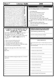 English Worksheet: Literacy Skills