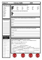 English Worksheet: Literacy Skills