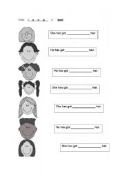 English Worksheet: LONG or SHORT