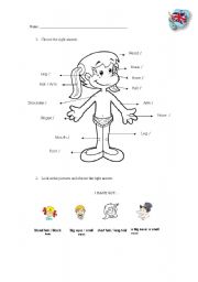 English worksheet: body