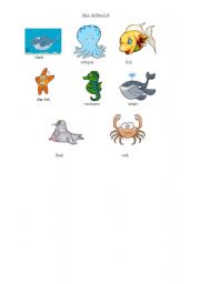 English Worksheet: sea animals
