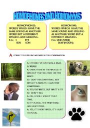 English Worksheet:  HOMOPHONES AND HOMONYMS