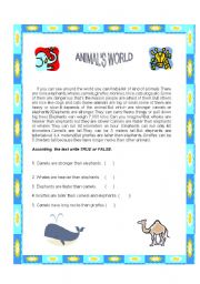 ANIMALS WORLD