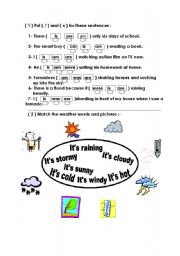 English worksheet: grammar and types of weather
