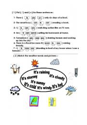 English Worksheet: grammar and types of weather