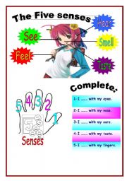 The five senses