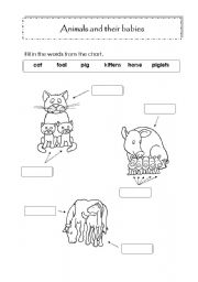 English worksheet: Animals and their babies