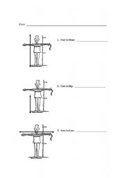 English Worksheet: Body parts and measurement