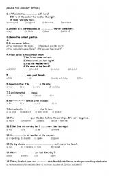 English worksheet: grammar worksheet