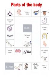 English Worksheet: body