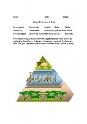 English worksheet: Environment quiz