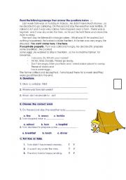 English worksheet: holiday in france