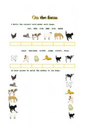 English Worksheet: animals and their babies