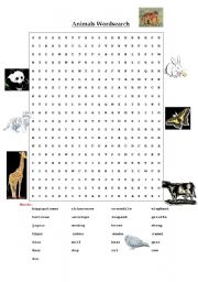 English Worksheet: ANIMALS WORDSEARCH