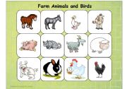 Farm Animals and Birds