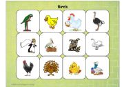 English Worksheet: Birds