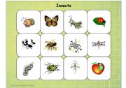 English Worksheet: Insects