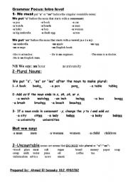 English Worksheet: Basic English GrammaR