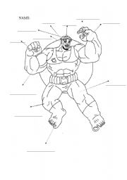 English Worksheet: PARTS OF THE BODY  (HULK)