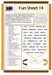 English Worksheet: Fun Sheet 14
