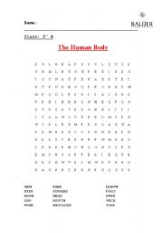 English Worksheet: the human body wordsearch