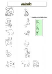 English worksheet: Animals