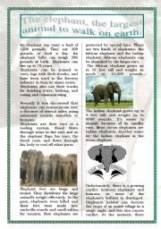 English Worksheet: The elephants (reading/information) (5 pages+answers)
