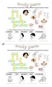 English Worksheet: Body parts