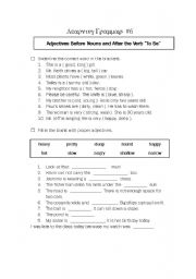 English Worksheet: Grammar Review_Adjectives Before Nouns and After the Verb