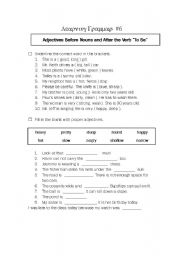 English worksheet: Grammar Review_Adjectives Before Nouns and After the Verb