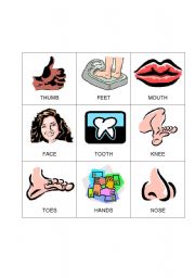 English Worksheet: Body Bingo 5