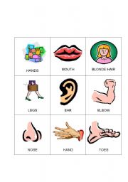 English Worksheet: Body Bingo 6