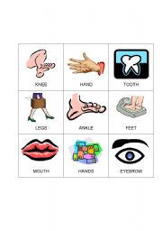 English Worksheet: Body Bingo 8