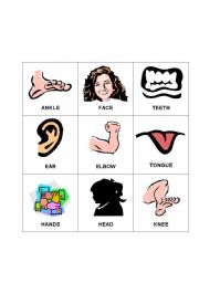 English Worksheet: Body Bingo 9