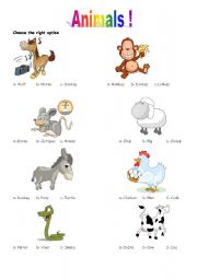 English Worksheet: fun with animals