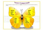 Insects Compounds