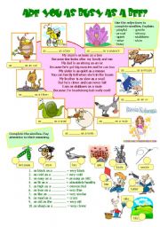 English Worksheet: ARE YOU AS BUSY AS A BEE?