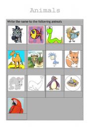 English worksheet: ANIMALS