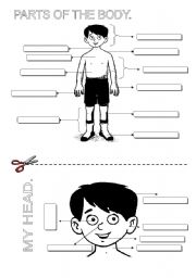 English Worksheet: MY BODY