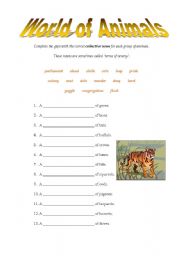 English worksheet: World of Animals