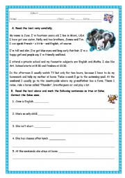 English Worksheet: READING COMPREHENSION