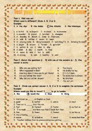 English Worksheet: Vocabulary and Grammar