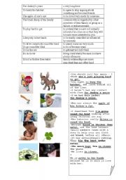 English Worksheet: LOVE IDIOMS 